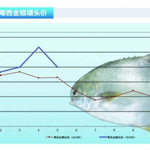 ���K������ȱ؛���r���j�q������ˮ�aǰ�ء�2019��7�¿��Ј�څ��