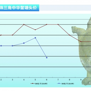 ���~���r���λ�����s�r����������ˮ�aǰ�ء�2019��7�¿��Ј�څ��