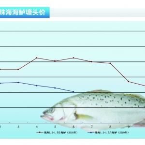 ���|���������٣����|�r����m�ߵ͡�����ˮ�aǰ�ء�2019��7�¿��Ј�څ��