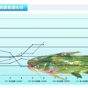 �S��~���S��~ȫ���ϝq�����~�oȱ������ˮ�aǰ�ء�2019��7�¿��Ј�څ��