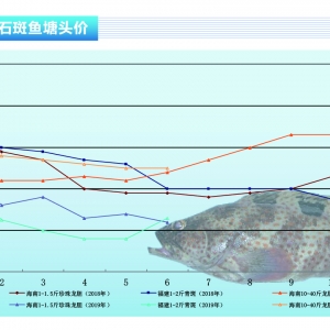 ʯ���~���r���^�m�µ����Bֳ�����F���ۣ�������ˮ�aǰ�ء�2019��7�¿��Ј�څ��