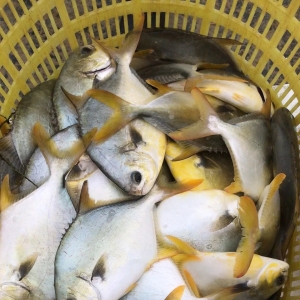 ���K�~�������У�ُ�N����