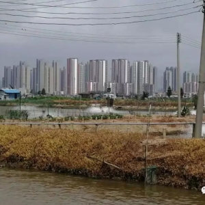 �á��󔵓�������һ�l�~�ĝ���