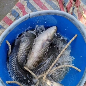 ������ĳ��~���A�ж�ز��~��(qi��ng)���ϝq��