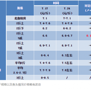 �Pע���c��׌�㿴�����~δ�����Bֳڅ��