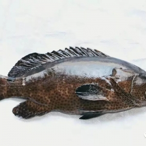 �������B(y��ng)������С��Ʒ�NҲ�д���