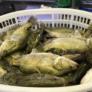 ���q5Ԫ/��Z�~���~���52Ԫ/�