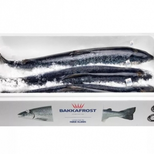 �����~��һ���Ј��L�ڕ���ʲô��