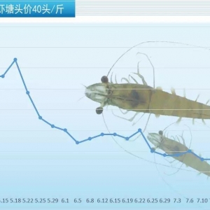 ��ߝq3Ԫ/��������r�r�K�ڸ���ϝq��