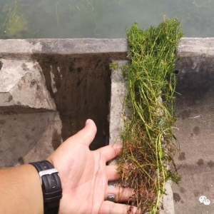 ��з�B(y��ng)ֳ�����¹���Ҫ�c(di��n)