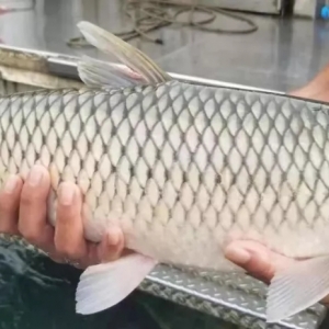 �I�~�������ɶ������Ј����~��Ȼ��