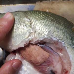 �ߜ��ڼ����|��η�(w��n)�ϡ����ϣ�