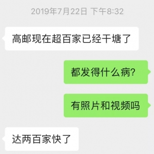 �Z�~(y��)��������4�N����ȫ�ǡ���ʲ�����