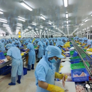 �Ї���Խ��ɳ�~�a�I(y��)���ʽ���ӣ�