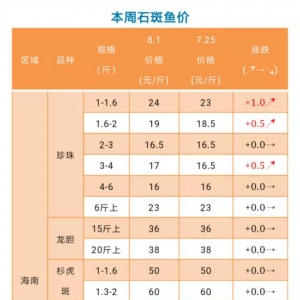 ���ϡ��V�|�����ϝq���t�|�ǰ���ߝq2Ԫ/��