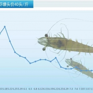 �q3Ԫ/������r�r���m����