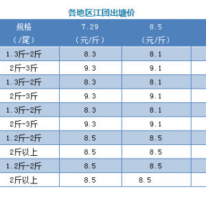 �r(ji��)���»���8��5�ս��F(tu��n)�������^�r(ji��)�񲥈�(b��o)