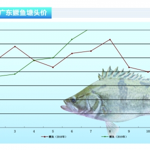 �Z�~���Ј�ȱ�~������ٝq7Ԫ/�����ˮ�aǰ�ء�2019��8�¿��Ј�څ��