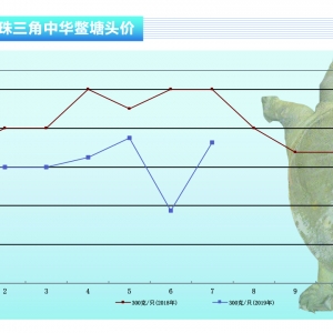 ���~�����~ƽ��(w��n)��ĸ�~С��������ˮ�a(ch��n)ǰ�ء�2019��8�¿��Ј�څ��(sh��)