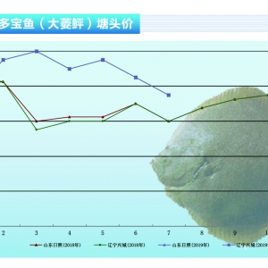 �����ң��Ј����M���ӣ� �r��С���ϝq������ˮ�aǰ�ء�2019��8�¿��Ј�څ��