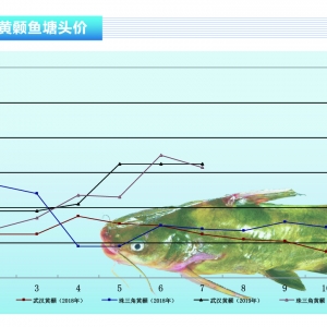 �S��~���~�r���Σ����п��ڡ�����ˮ�aǰ�ء�2019��8�¿��Ј�څ��