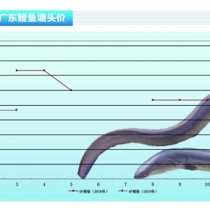 ���~���С��ա��n�Ј��r��ַ�������ˮ�aǰ�ء�2019��8�¿��Ј�څ��