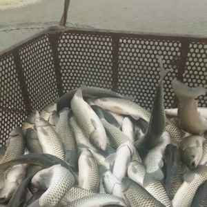 ���~�׽�ȫ���h�t���A����߱��q1Ԫ/��