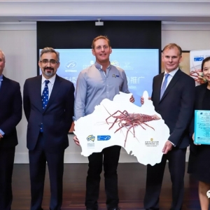 MSC+�������+�����v�y���ƏV�ɳ��m���Ďr���r