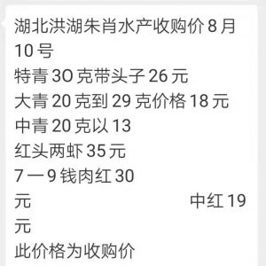 2019��8��10���rз�r��