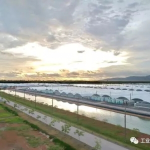 ������ȫ���D���҃�ѭ�hˮ�B�r��