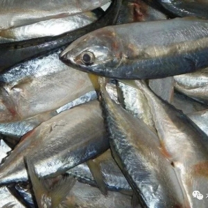 ����Ȼ�������о����B(y��ng)ֳ�~��Ұ�����~����ȫ