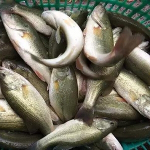 ȱ���~�������|��ߝq3Ԫ/�