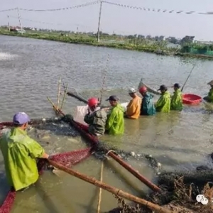 ȫ������B(y��ng)ֳ�|�~������Γ����Ј��t��