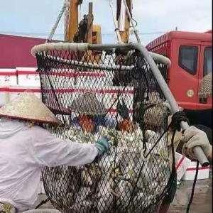 ̝����ʹ��տ���@�����^��2000�f�l�~�K�ұ���