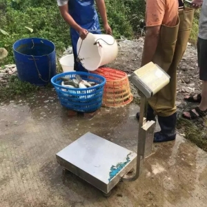 �ߜ��u�~�֪�����ͳ��~�p��