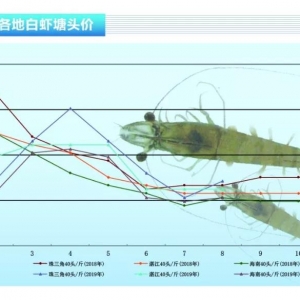 ���r�����r�oȱ�������r�r�͝q������ˮ�aǰ�ء�2019��9�¿��Ј�څ��