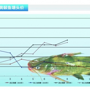 �S��~���i��ȱ�~�������ϝq��10����¸ߡ�����ˮ�aǰ�ء�2019��9�¿��Ј�څ��