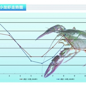 С���r���Ј��N���p�룬�r��ƽ���ϝq10Ԫ������ˮ�aǰ�ء�2019��9�¿��Ј�څ��