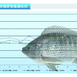 �_���~���N�۲����~�r�»�������ˮ�aǰ�ء�2019��9�¿��Ј�څ��