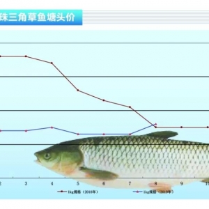 ���~���B��ϧ�ۣ��r��S��������ˮ�aǰ�ء�2019��9�¿��Ј�څ��