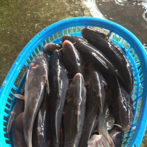 ���m(x��)�ϝq��9��2�ո��ؽ��F(tu��n)����(b��o)�r(ji��)