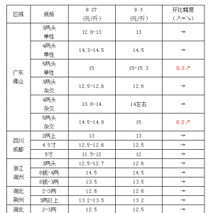 �S��~�����Нq��9���ֵ������L�S���ڣ�