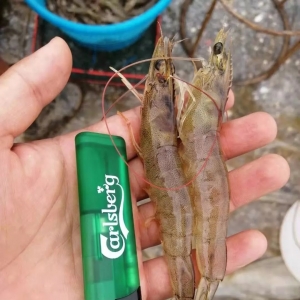 9��5�Շ���(n��i)���r���a(ch��n)�^(q��)�r(ji��)�񲥈�(b��o)�c�������