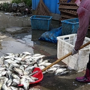 �Z�~�r����ǰ�M�뺮������ȥ��ͬ�ڵ�4Ԫ/��