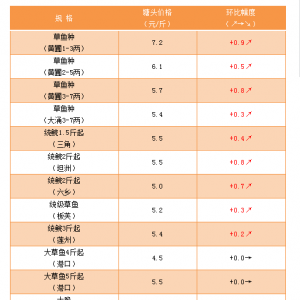 ���~�r��ȫ�����q