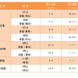 ���~�r��������(w��n)�������﹝(ji��)����������M(f��i)