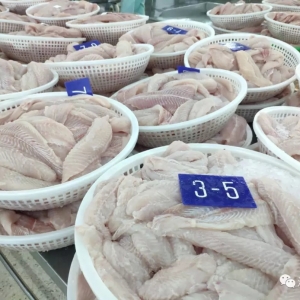 �Ї��Ј��ɞ�Խ�ϰ�ɳ�~�������ϣ��