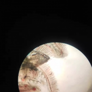 �Z�~�����x�ܿ��£��㶮�@Щ�x�ɹ��B(y��ng)ֳ����