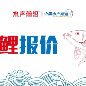 ��ǰ���~�����ӿ죬�����ϝq���g