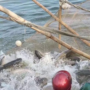 ���﹝(ji��)�R������ز��~�F(xi��n)���@��ů��